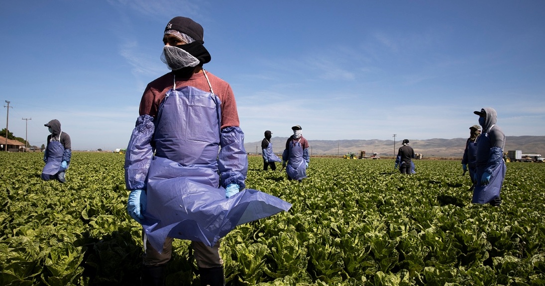 Undocumented Workers