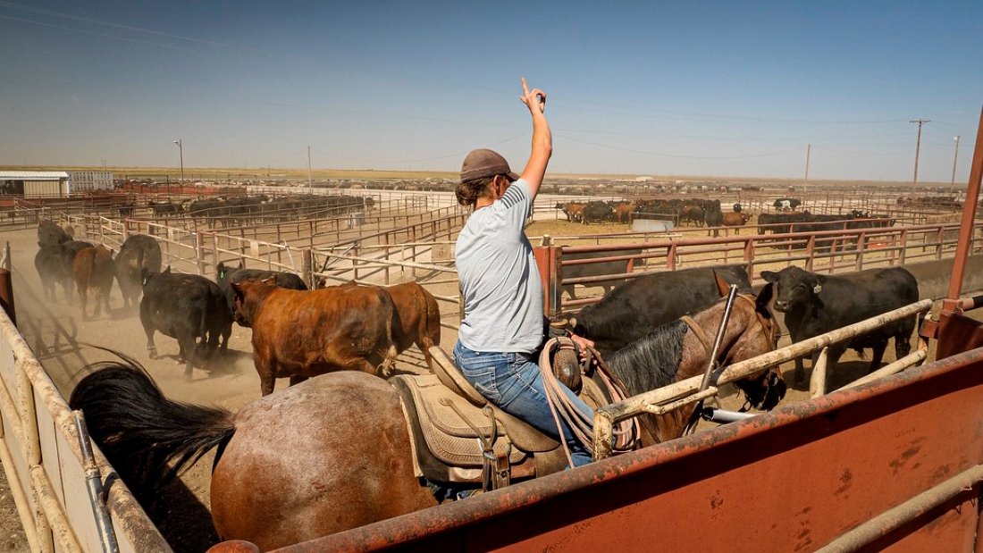 Is the Agricultural Marketing Service (AMS) Still Needed?